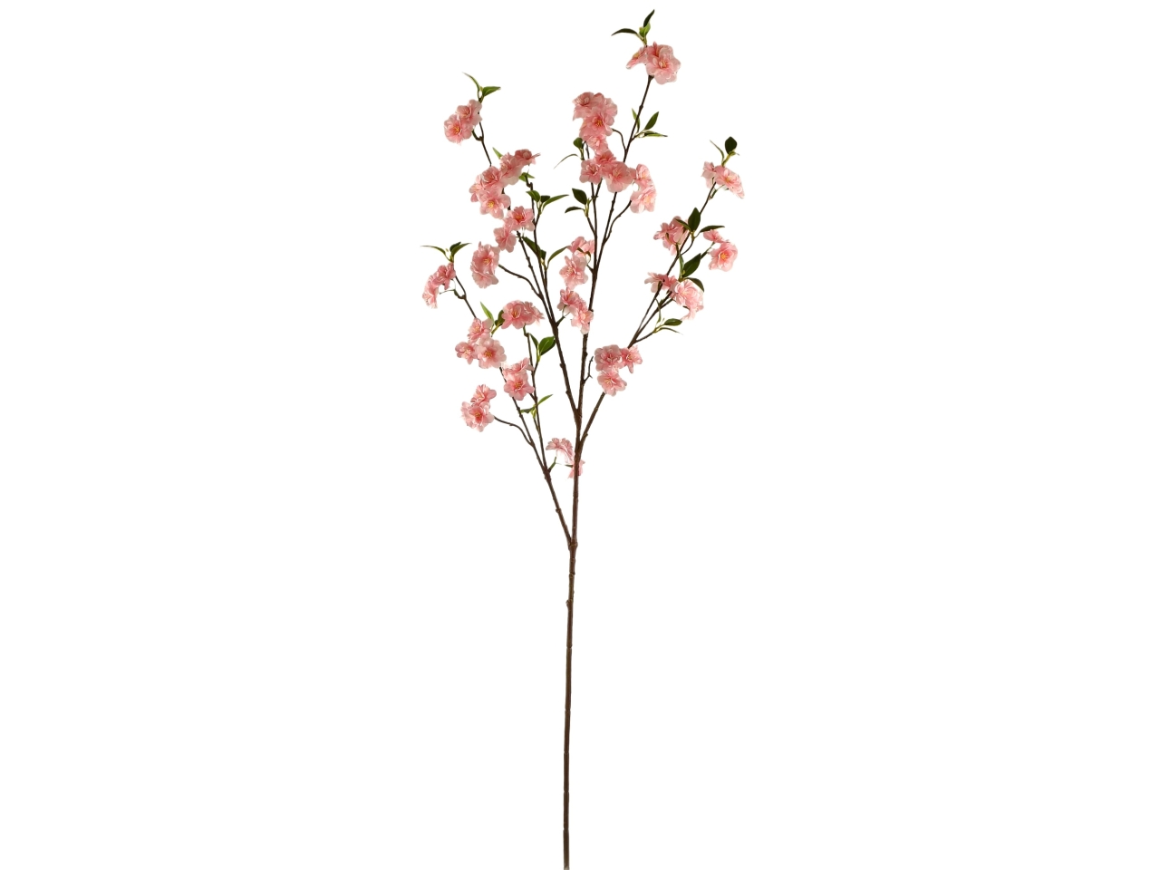 FIORE DI CILIEGIO SPRUZZATO 125CM ROSA DS003845