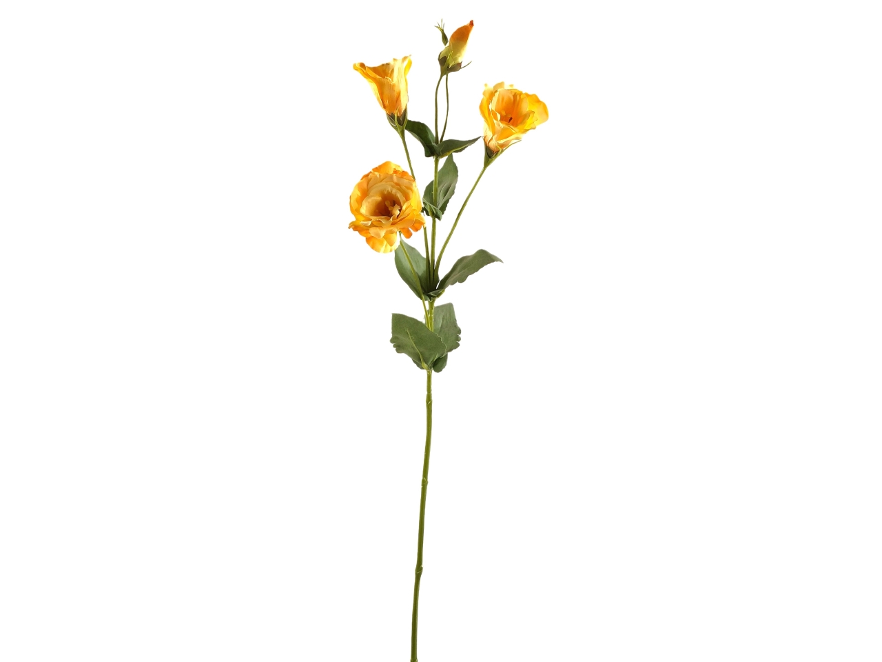 EUSTOMA SPRUZZATO MAZZO 70CM GIALLO DS002726 EUSTOMA SPRUZZATO MAZZO 70CM GIALLO DS002726