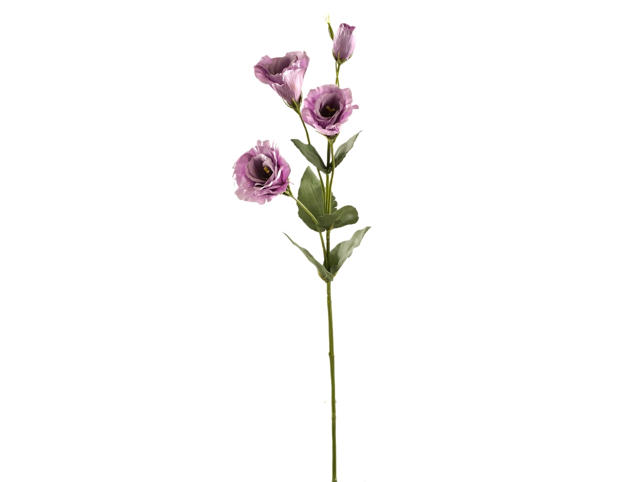 EUSTOMA SPRUZZATO MAZZO 70CM LILLÀ DS002726 EUSTOMA SPRUZZATO MAZZO 70CM LILLÀ DS002726