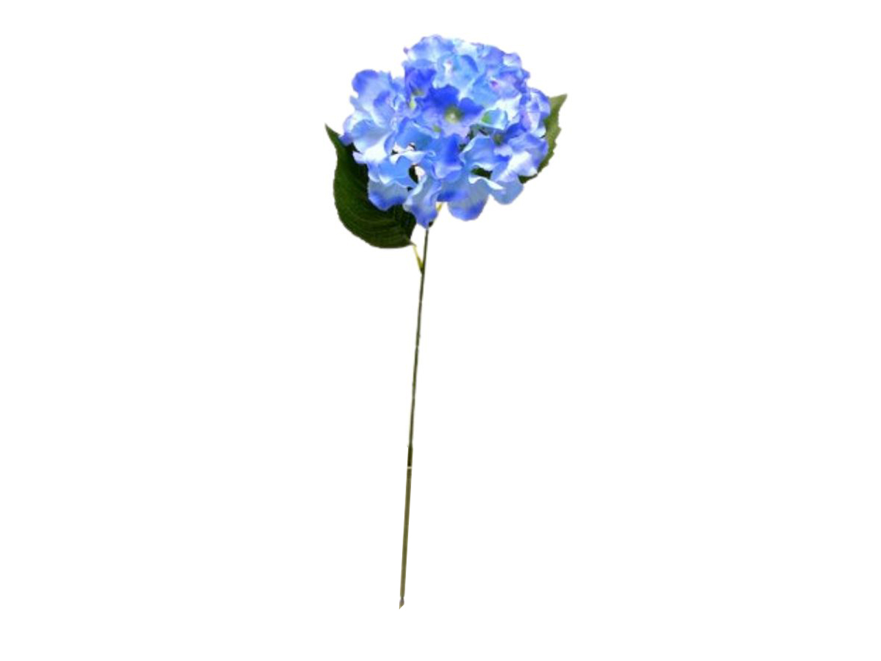 ORTENSIA SPRUZZATO SINGOLA 70CM BLU DS003169 ORTENSIA SPRUZZATO SINGOLA 70CM BLU DS003169