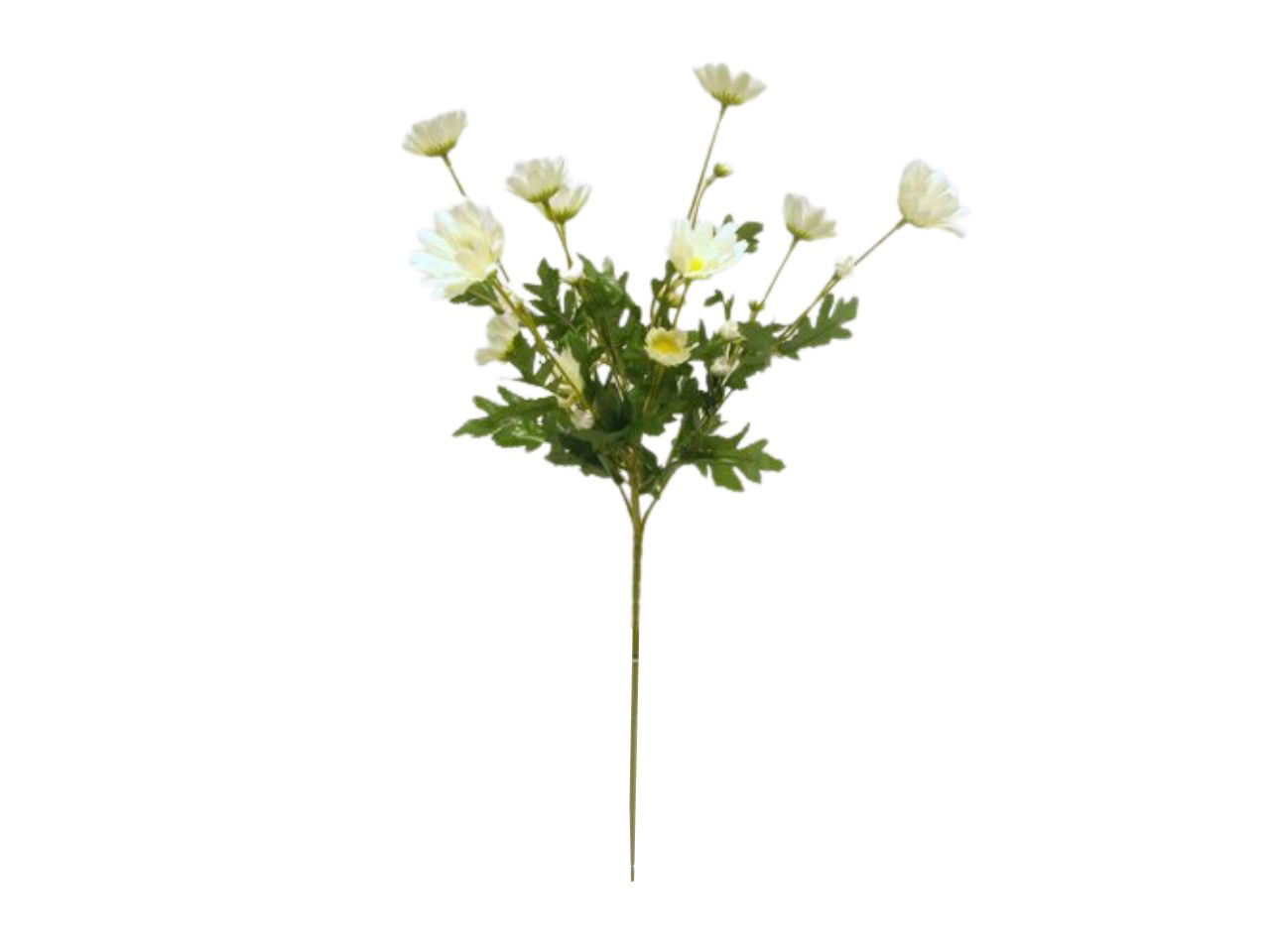 MARGHERITA SPRUZZATO 4 RAMI 64CM CREMA DS003289 MARGHERITA SPRUZZATO 4 RAMI 64CM CREMA DS003289