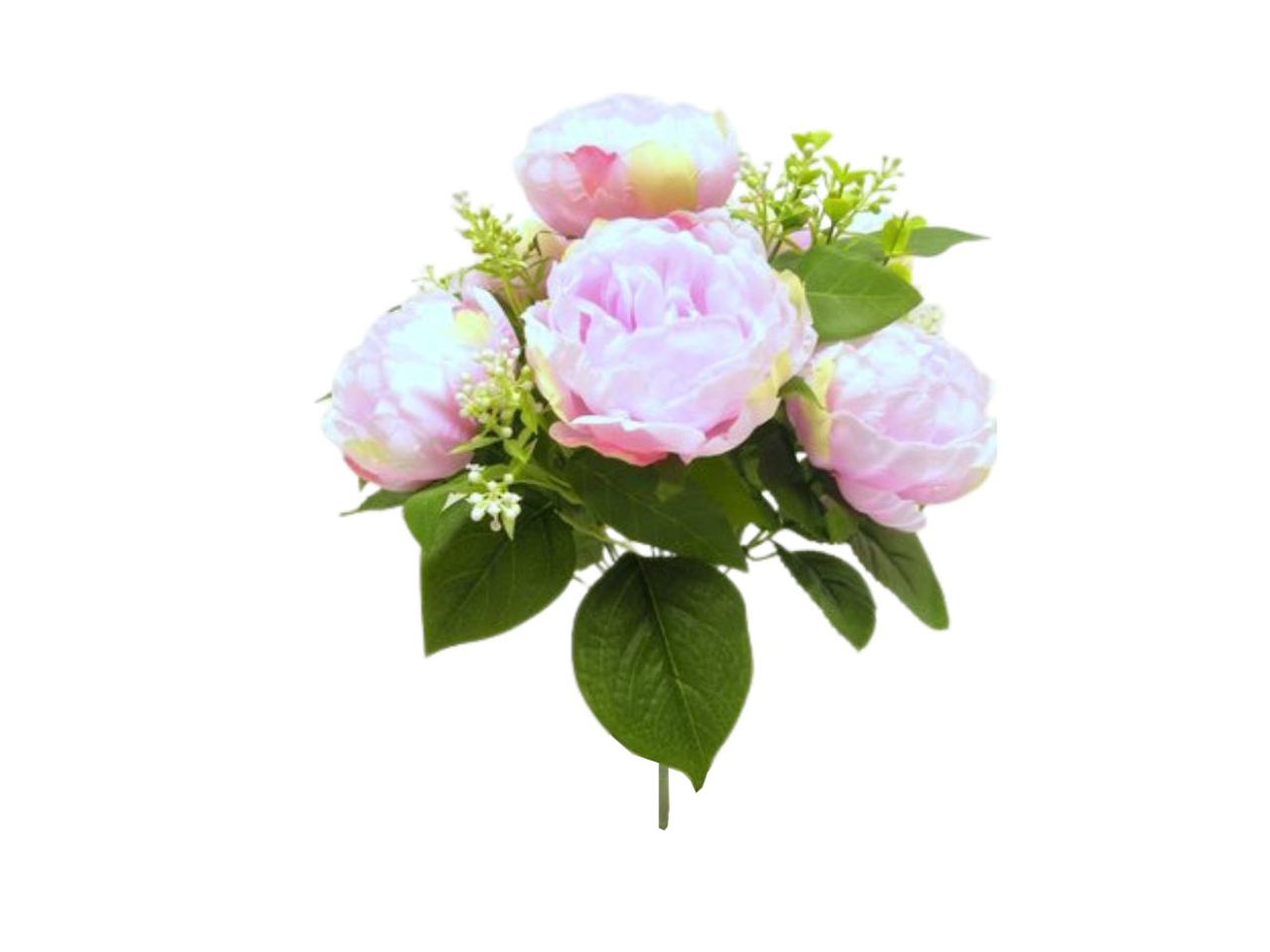 PEONIA CESPUGLIO 12 RAMI 6 FIORI ROSA DS003383 PEONIA CESPUGLIO 12 RAMI 6 FIORI ROSA DS003383