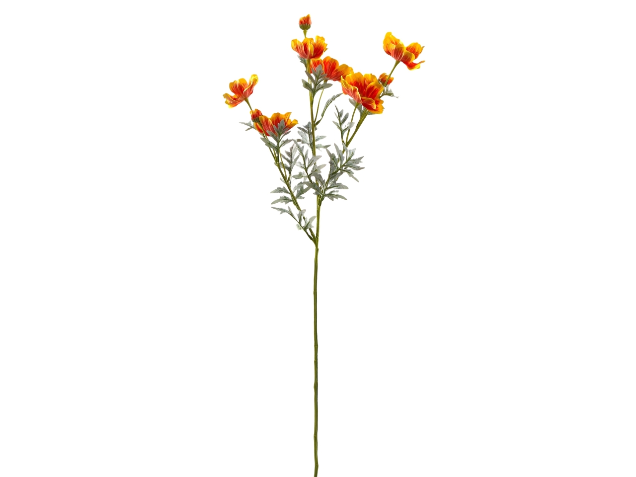 COSMOS SPRUZZATO MAZZO 80CM GIALLO DS003695