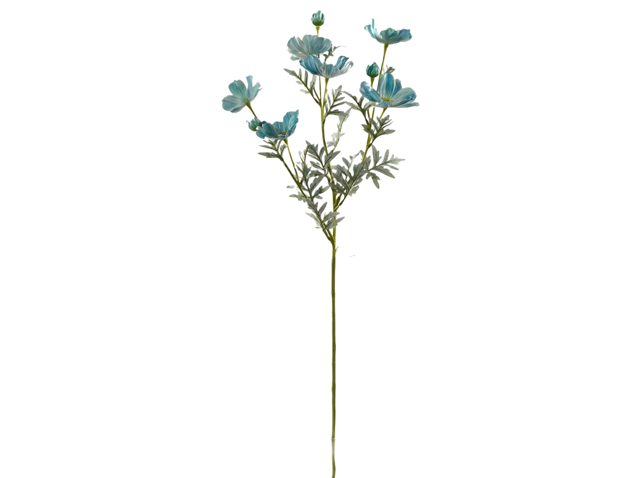 COSMOS SPRUZZATO MAZZO 80CM BLU DS003695