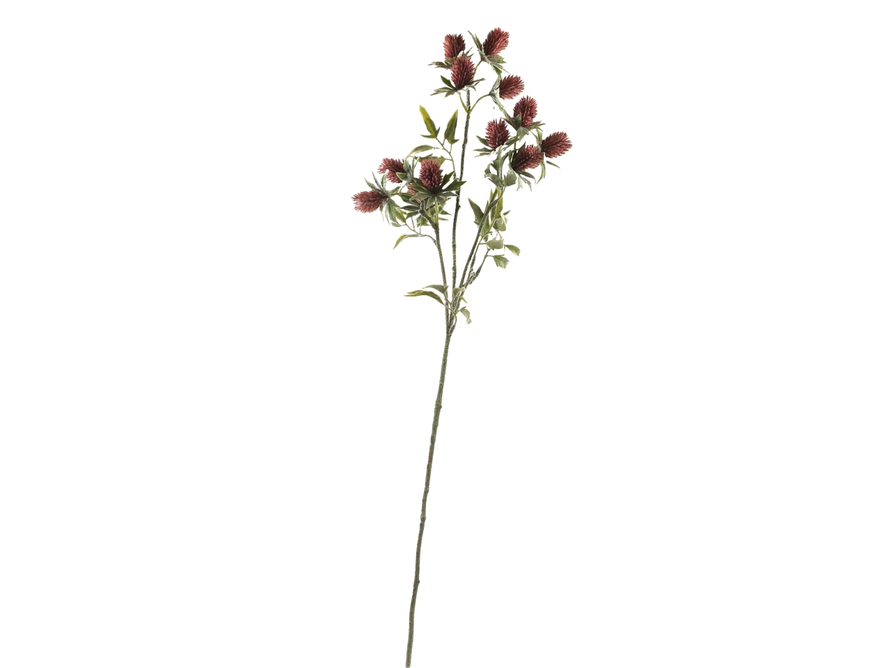 CARTHAMUS SPRUZZATO 3 RAMI VIOLA DS003707