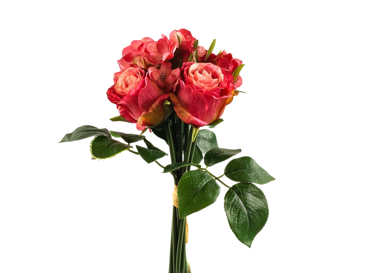 MAZZO ROSE FUCSIA DS003815 MAZZO ROSE FUCSIA DS003815