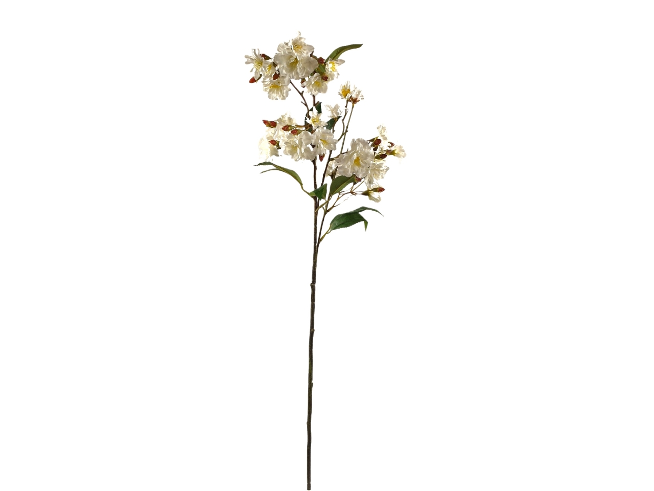 FIORE DI CILIEGIO SPRUZZATO CREMA DS003820