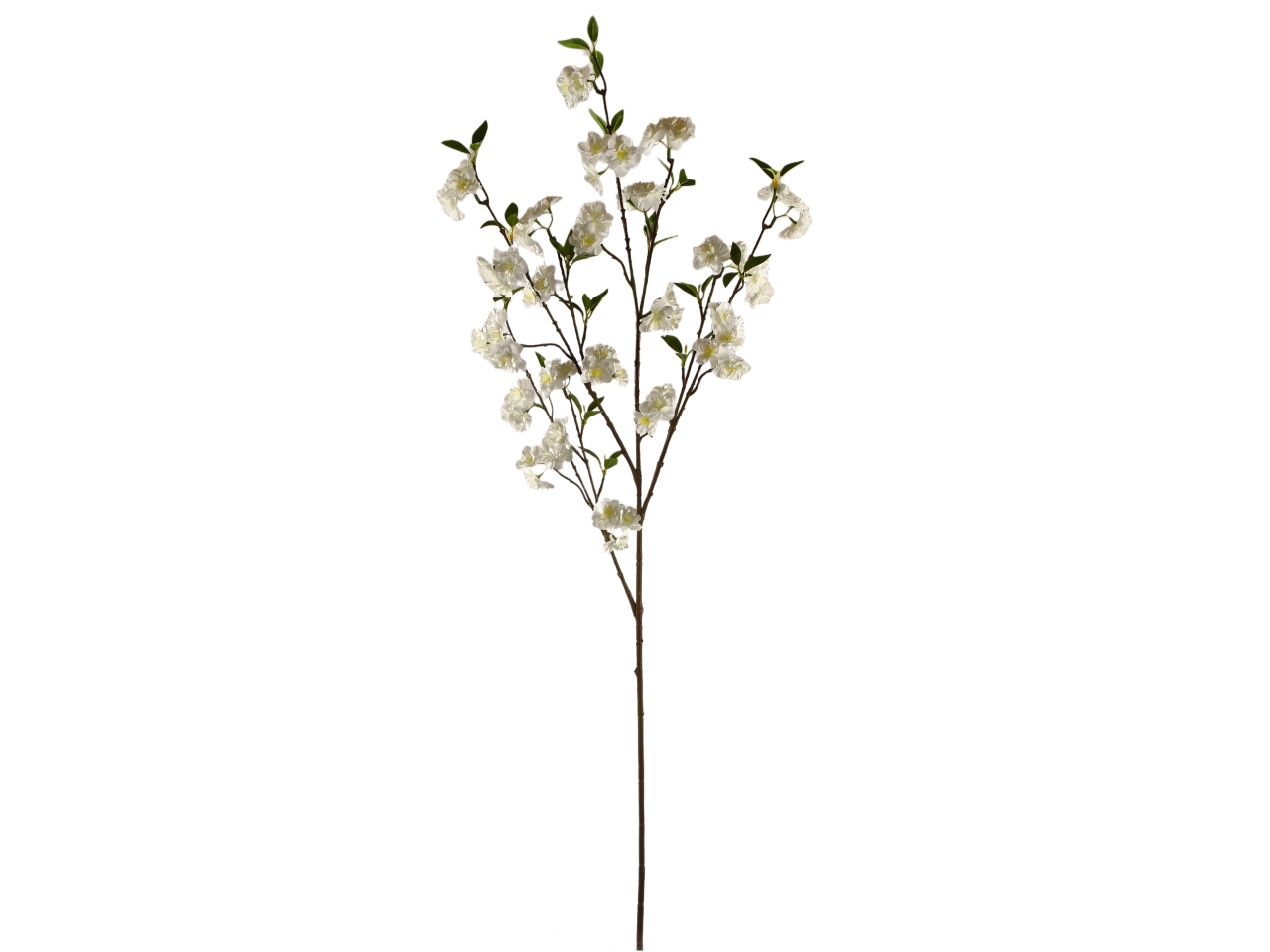 FIORE DI CILIEGIO SPRUZZATO 125CM CREMA DS003845