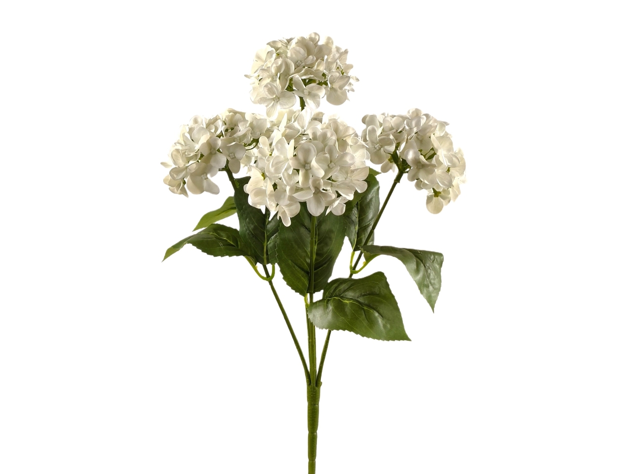 ORTENSIA CESPUGLIO 5 RAMI CREMA DS003847 ORTENSIA CESPUGLIO 5 RAMI CREMA DS003847