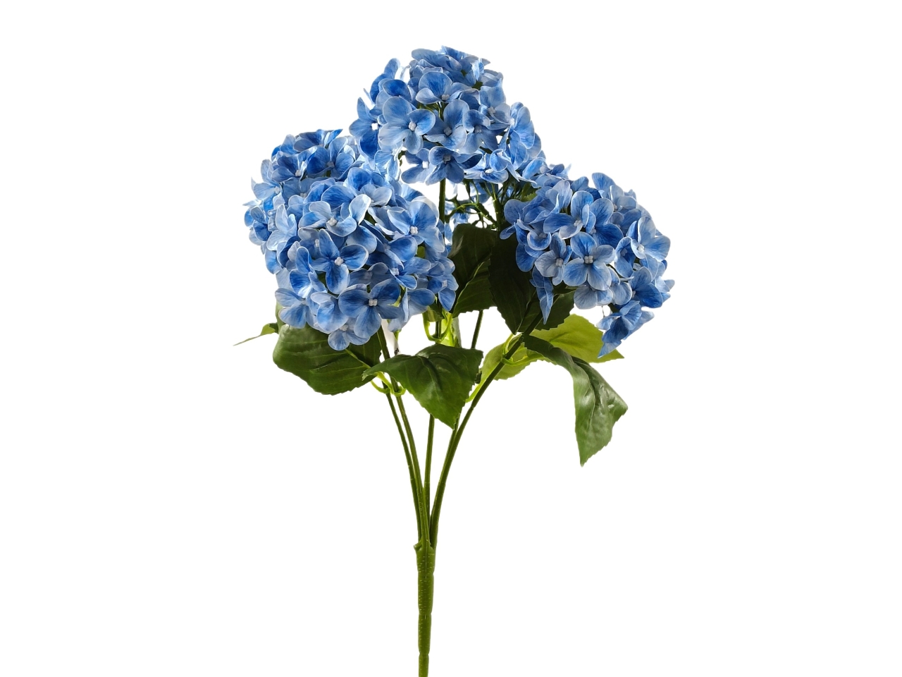 ORTENSIA CESPUGLIO 5 RAMI BLU DS003847 ORTENSIA CESPUGLIO 5 RAMI BLU DS003847