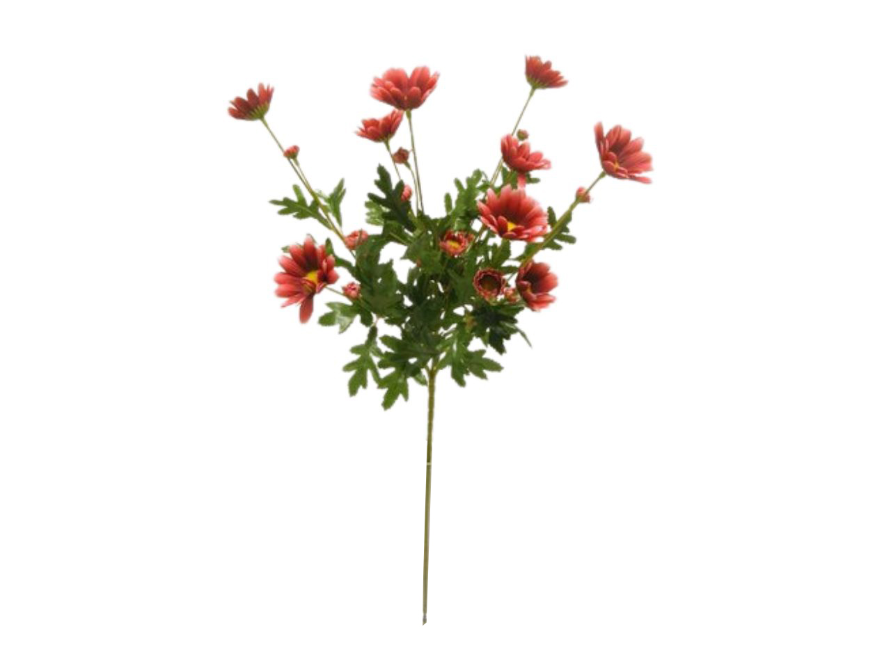 MARGHERITA SPRUZZATO 4 RAMI 64CM CORALLO DS003289 MARGHERITA SPRUZZATO 4 RAMI 64CM CORALLO DS003289
