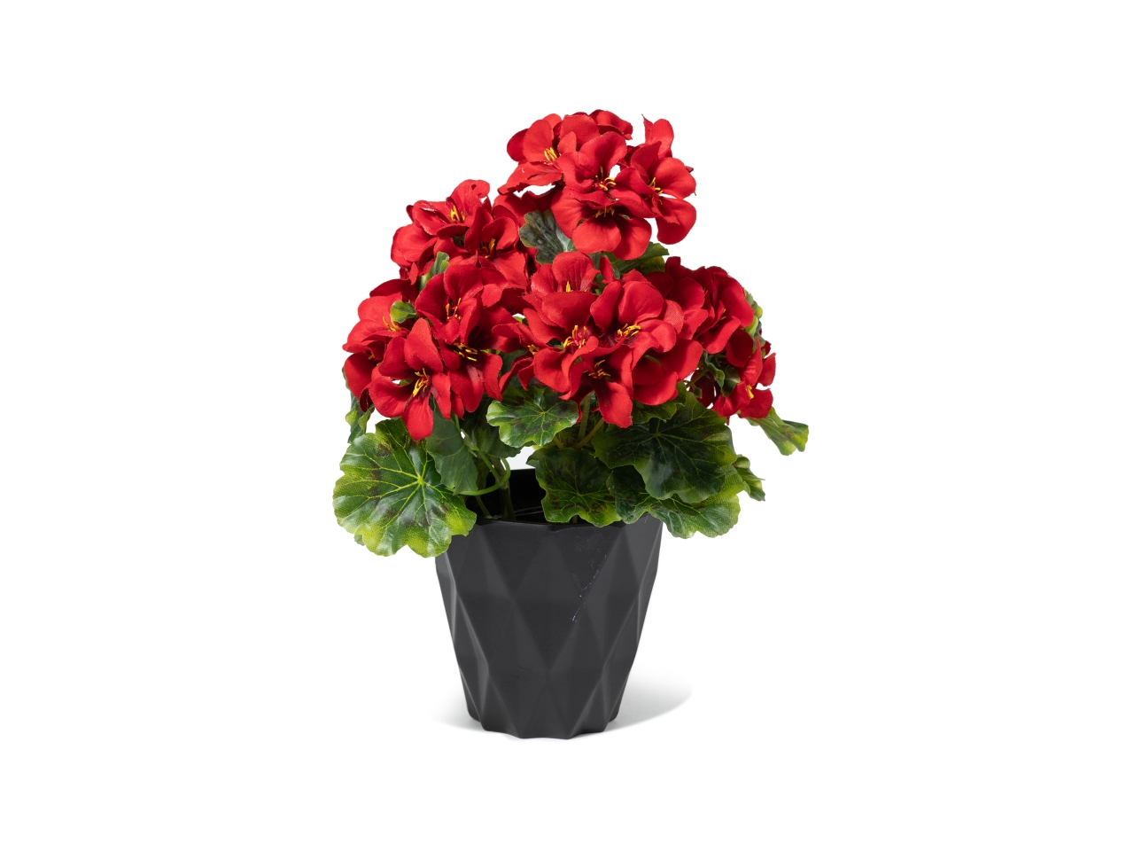 GERANIO IN VASO 21XH.29CM ROSSO 34062