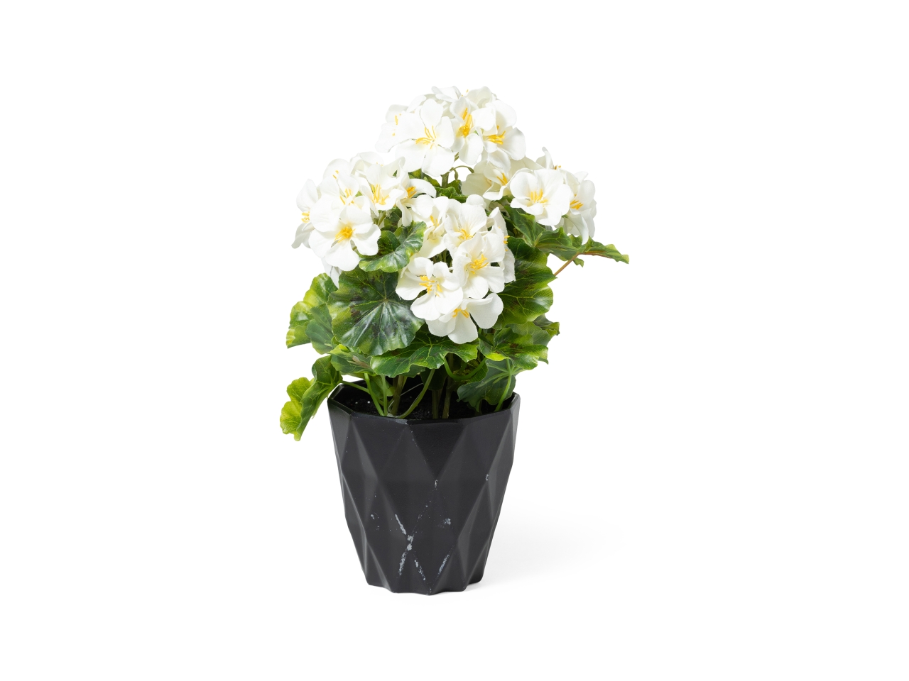 GERANIO IN VASO 21XH.29CM BIANCO 34048