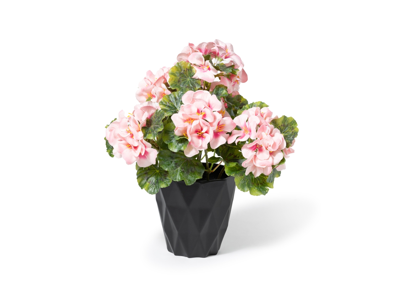 GERANIO IN VASO 21XH.29CM ROSA 34055