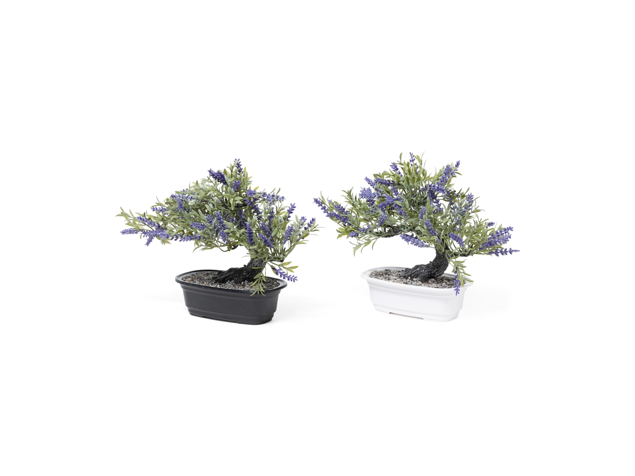 BONSAI IN VASO C/FIORI VIOLA 24X12XH.24CM32723 BONSAI IN VASO C/FIORI VIOLA 24X12XH.24CM32723