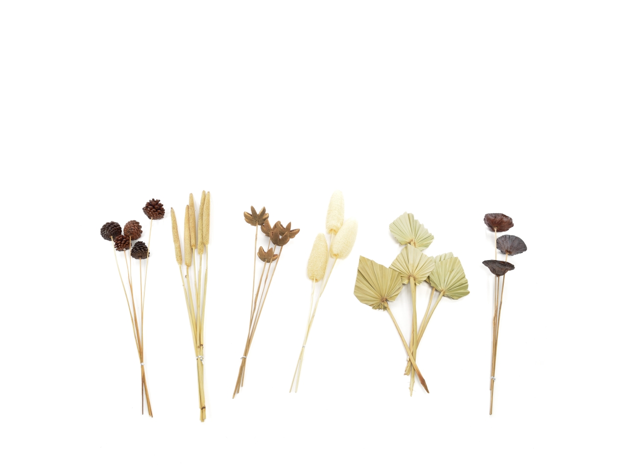 FIORI SECCHI NATURALI H.78CM ASS. 17584