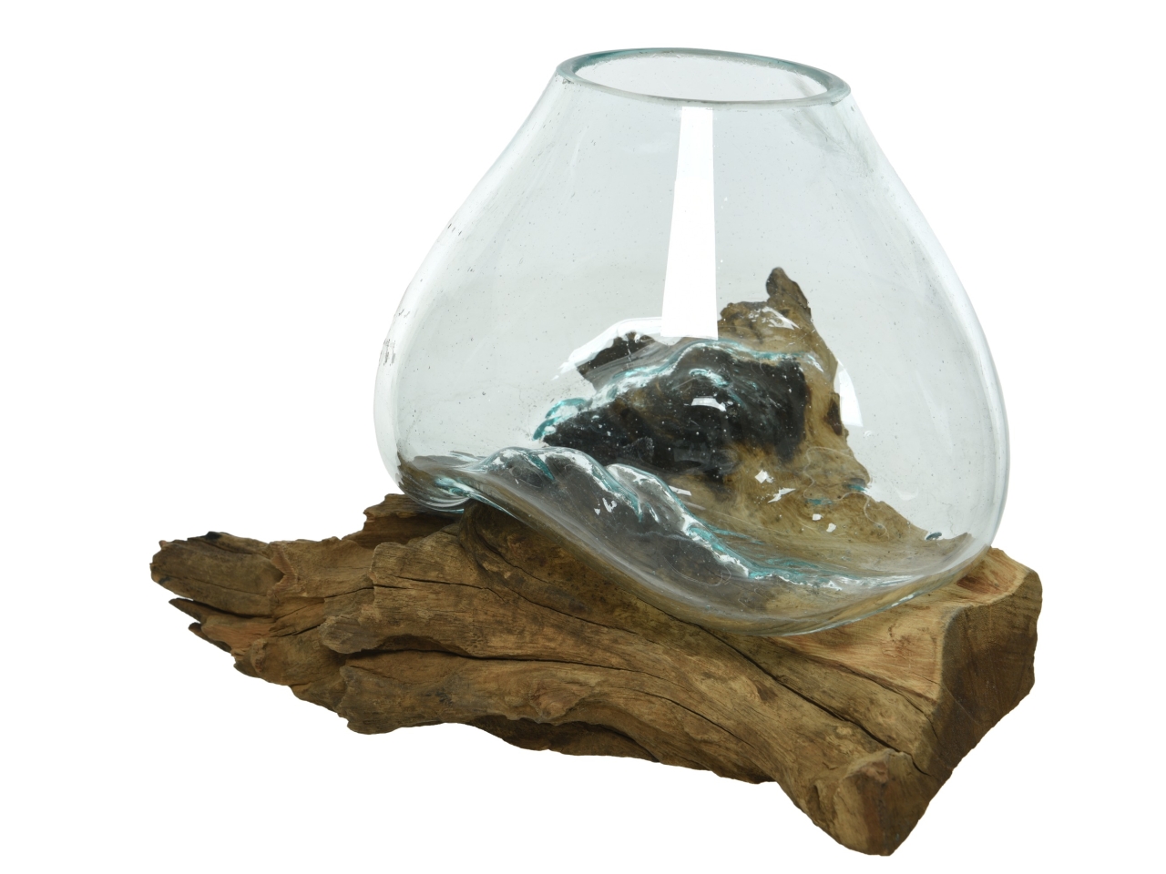 RADICE C/VASO VETRO 20x20xH.20CM 869401