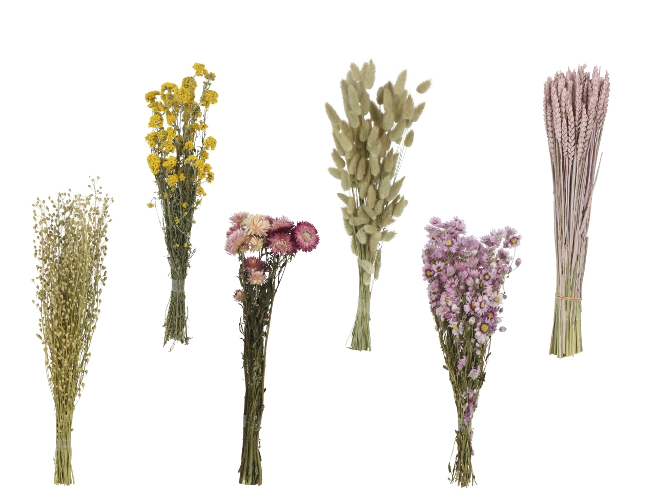 MAZZOLINO FIORI SECCHI 6 ASS. 60x20xH.60 873589 MAZZOLINO FIORI SECCHI 6 ASS. 60x20xH.60 873589