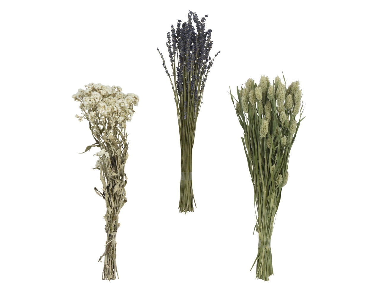 MAZZOLINO FIORI SECCHI 3 ASS. 55x25xH.55CM 873592 MAZZOLINO FIORI SECCHI 3 ASS. 55x25xH.55CM 873592