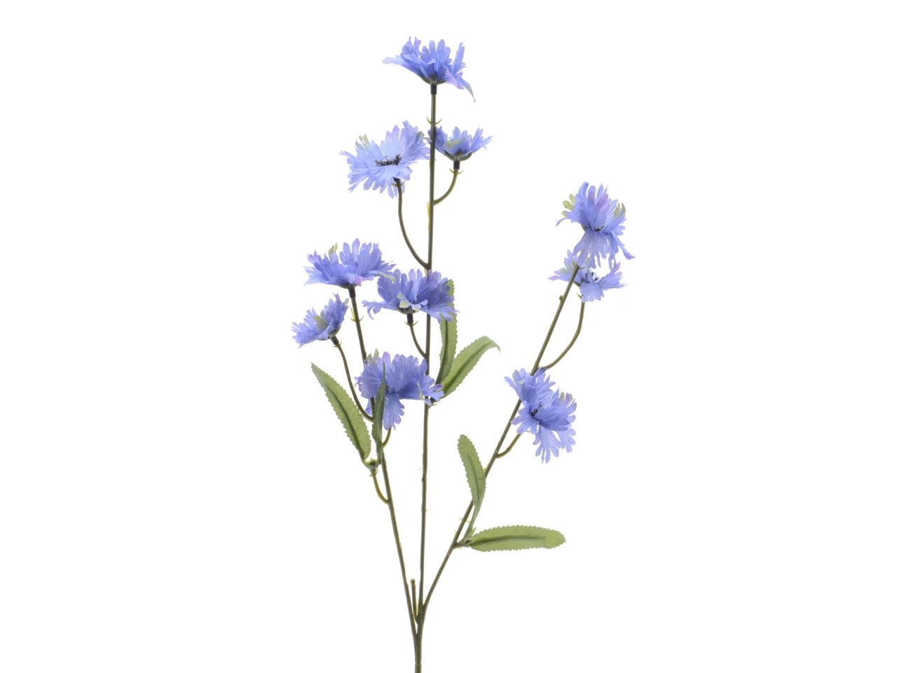 FIORDALISO VIOLA 5x12x55CM 800174