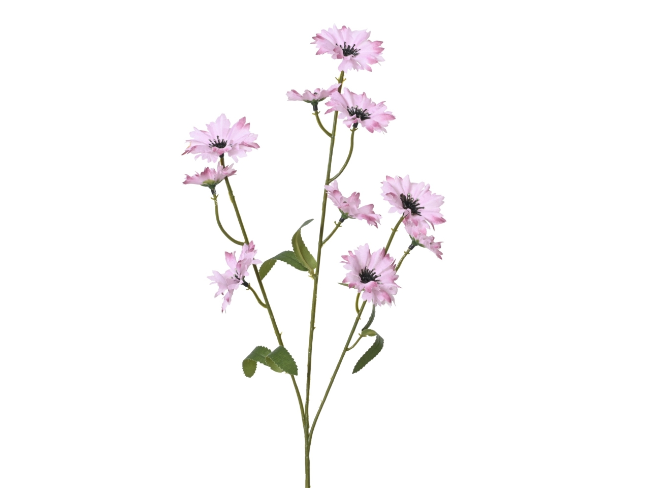 FIORDALISO ROSA 5x12x55CM 809986
