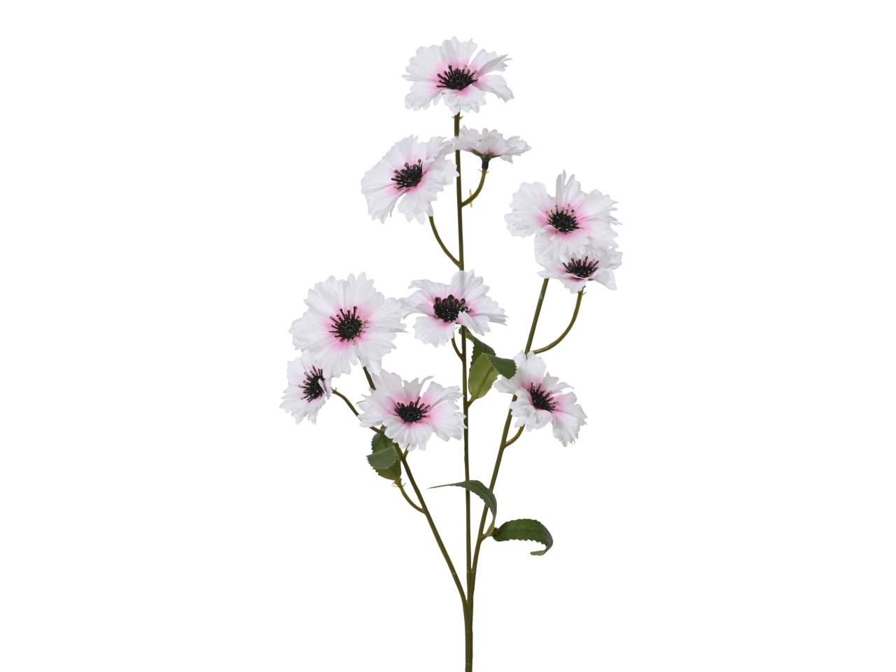 FIORDALISO ROSA 5x12xH.55CM 899758