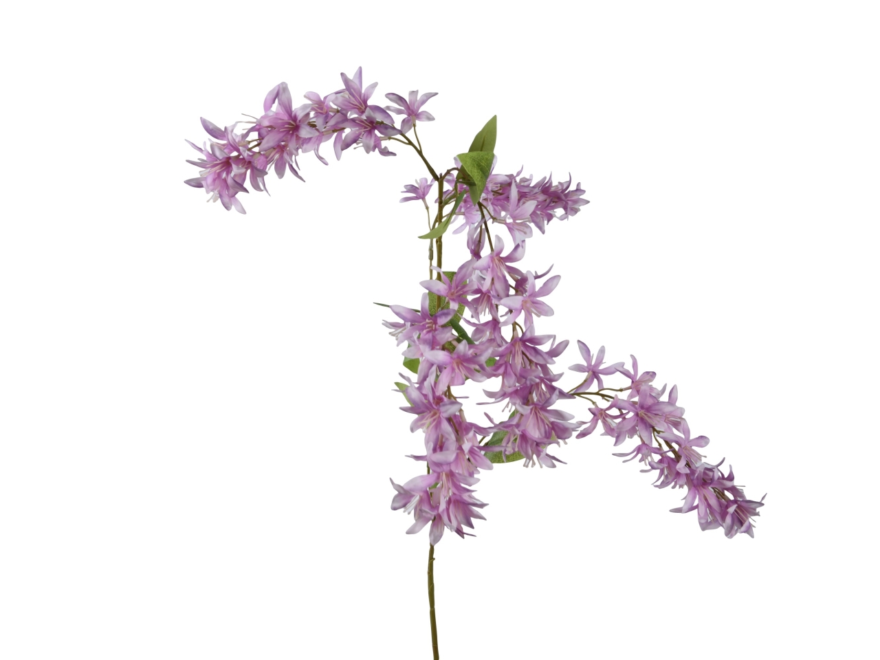 MAZZOLINO GLICINE LILLA 20x5xH.110CM 804534 MAZZOLINO GLICINE LILLA 20x5xH.110CM 804534