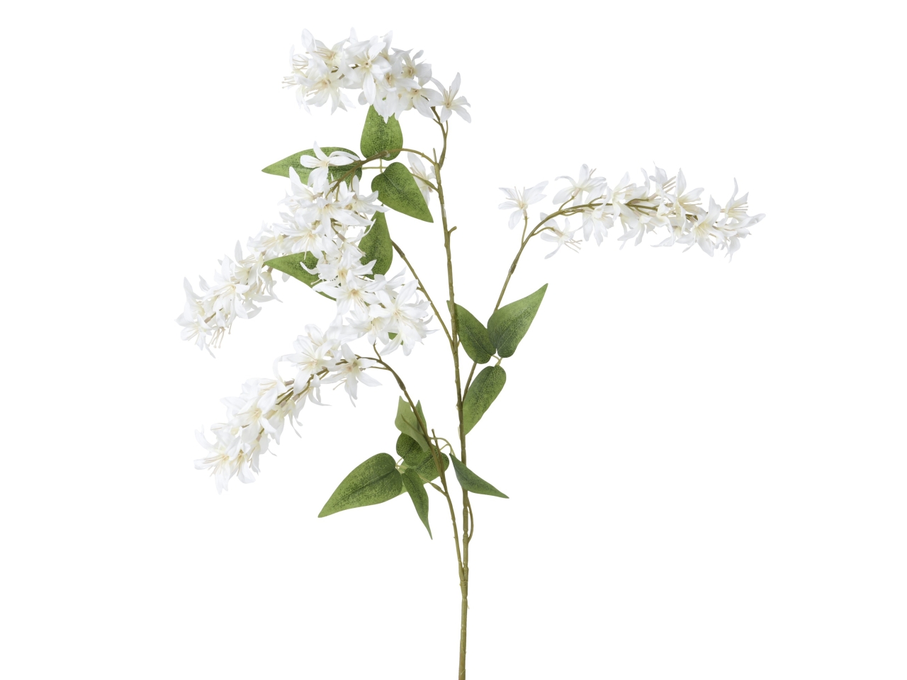 MAZZOLINO GLICINE BIANCO 20x5xH.110CM 804536 MAZZOLINO GLICINE BIANCO 20x5xH.110CM 804536