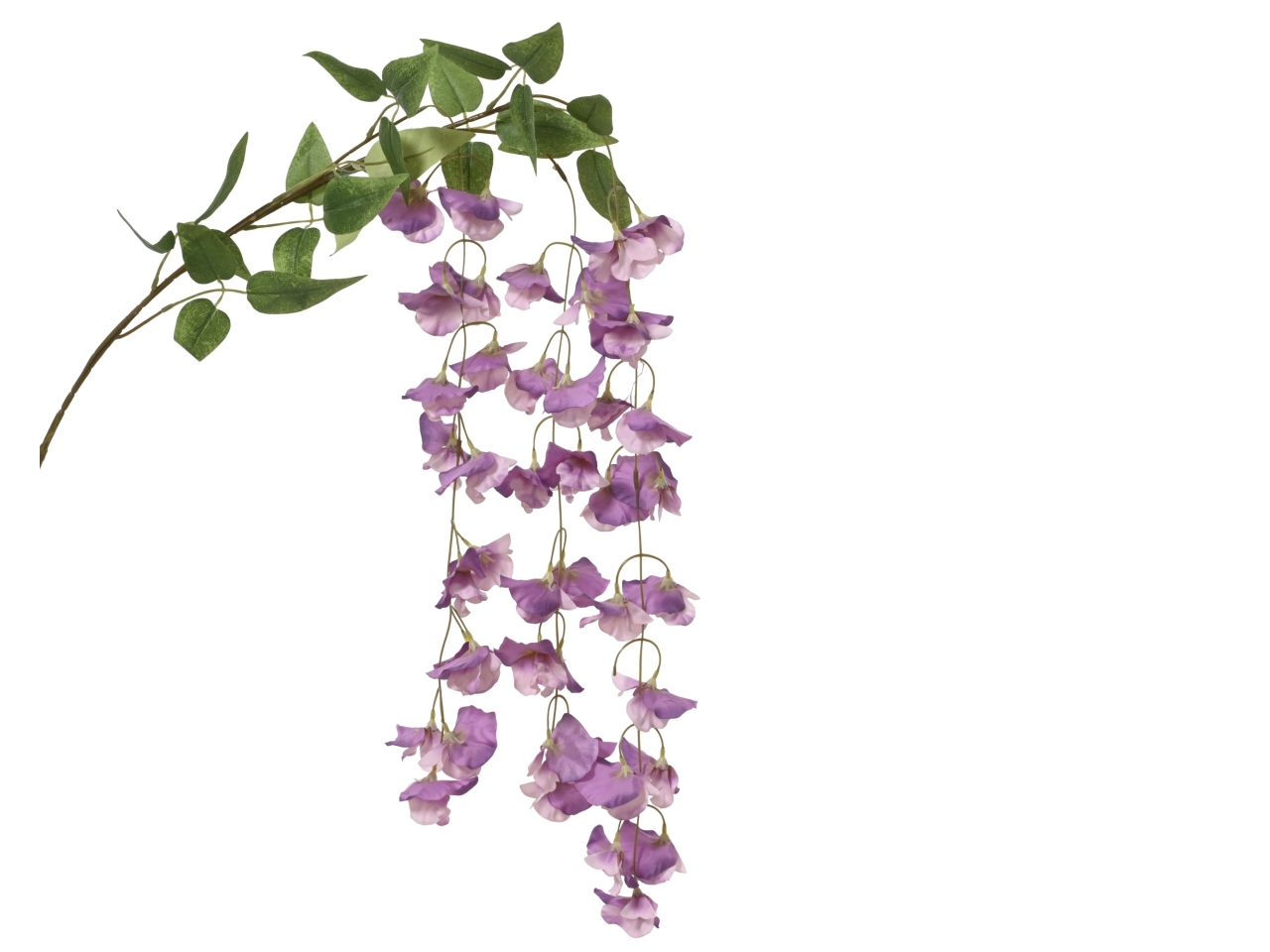 MAZZOLINO CAMPANULE LILLA 85x28xH.3CM 899503 MAZZOLINO CAMPANULE LILLA 85x28xH.3CM 899503