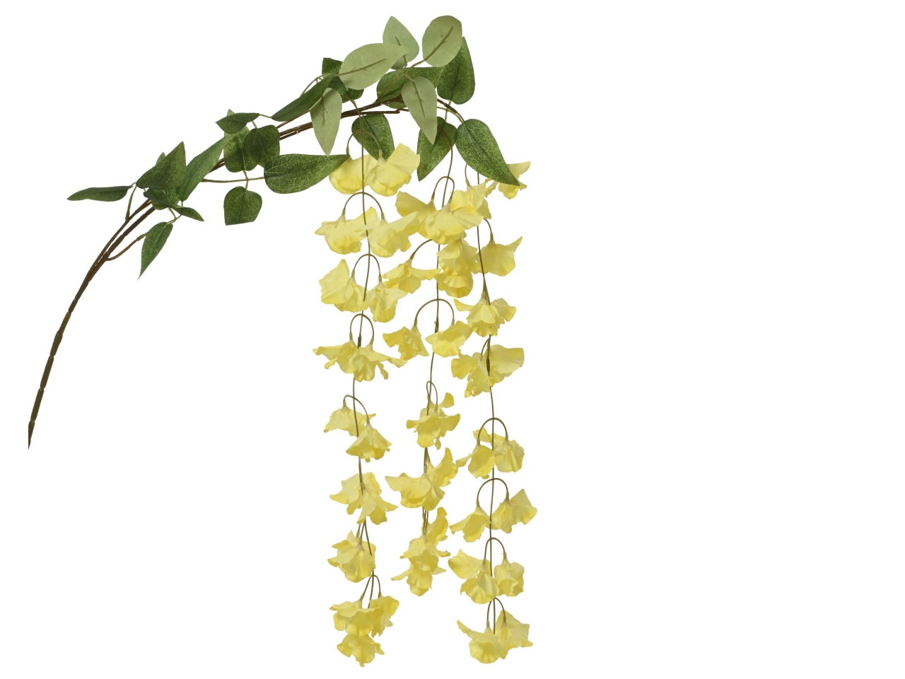 MAZZOLINO CAMPANULE GIALLO 85x28xH.3CM 899504 MAZZOLINO CAMPANULE GIALLO 85x28xH.3CM 899504