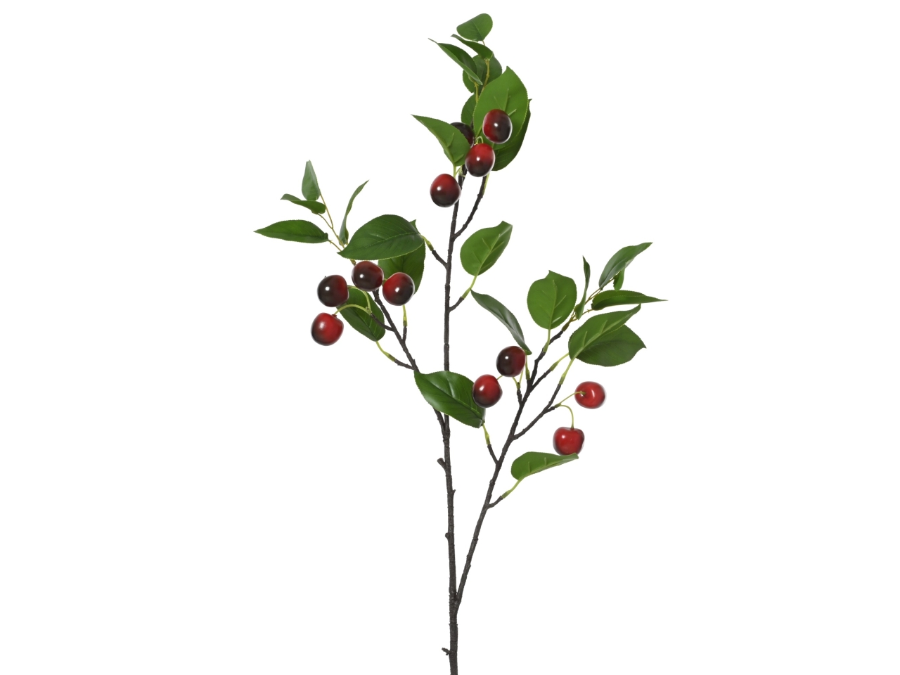 MAZZOLINO CILIEGIE 28x18xH.95CM 899726 MAZZOLINO CILIEGIE 28x18xH.95CM 899726