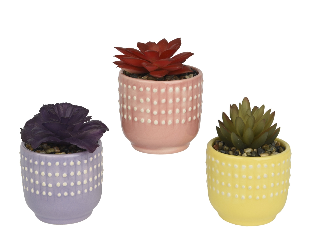 VASO PIANTE GRASSE 3 ASS. 7x7xH.10.5CM 871293