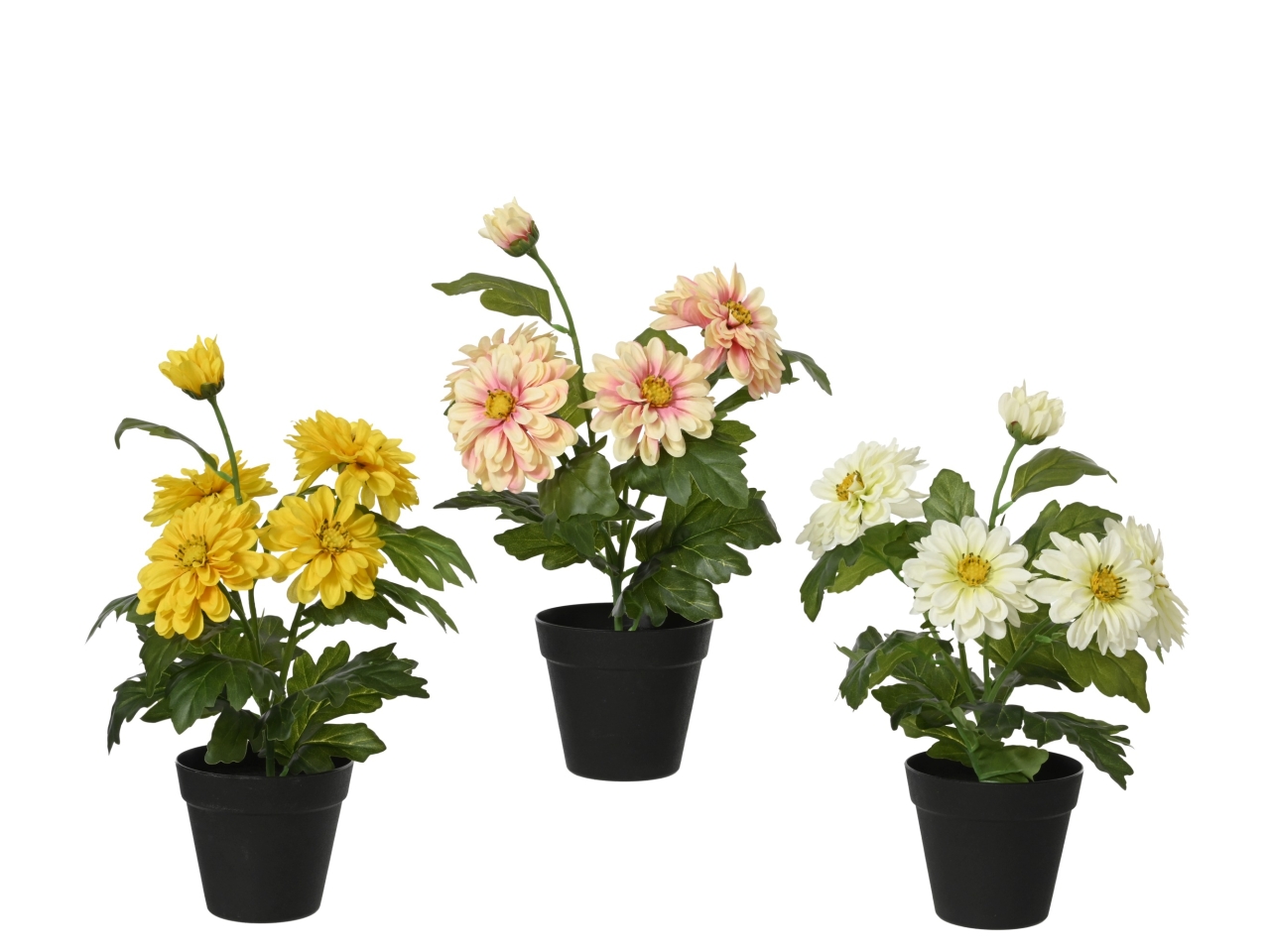 VASO ZINNIA 3 ASS. D.25xH.40CM 899736 VASO ZINNIA 3 ASS. D.25xH.40CM 899736