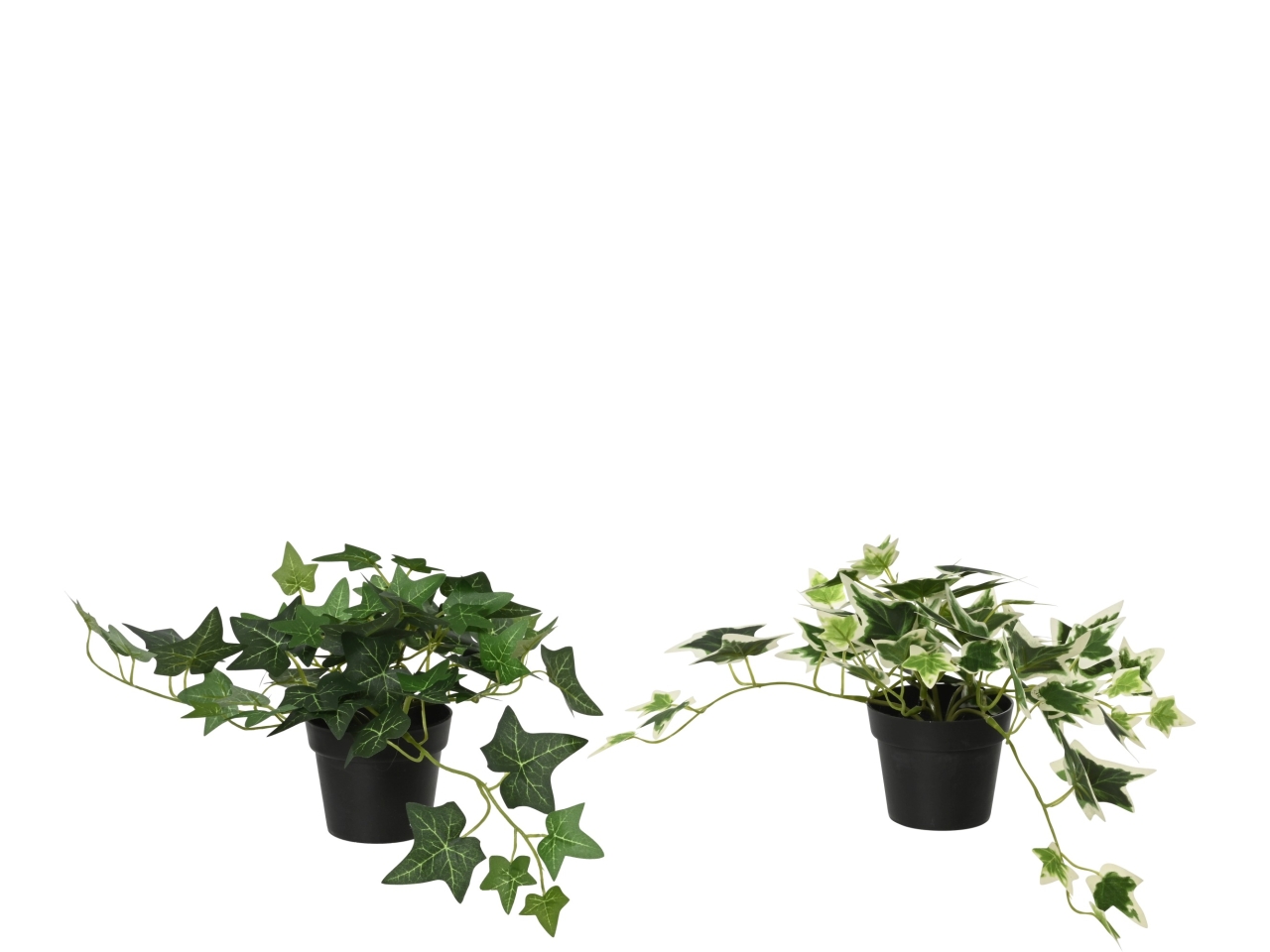 VASO C/EDERA 2 ASS. 25x17xH.28CM 899777 VASO C/EDERA 2 ASS. 25x17xH.28CM 899777