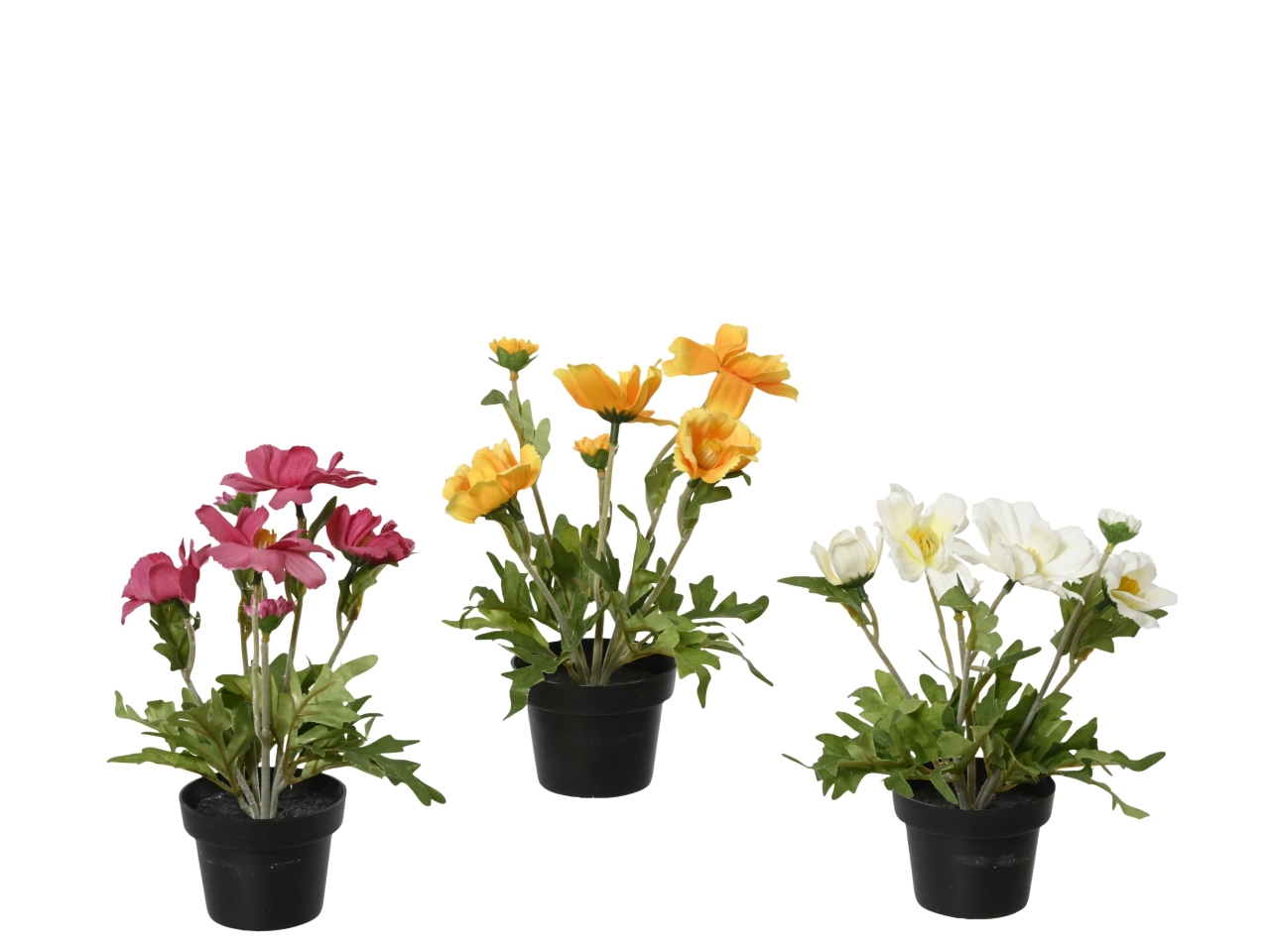 VASO C/MARGHERITE 3 ASS. D.15xH.22CM 899782