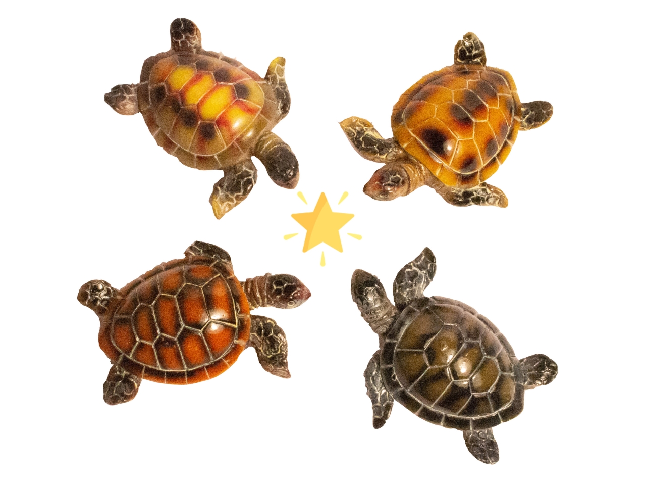 MAGNETE RESINA TARTARUGA IN 4 ASSORTIMENTI 0137672 MAGNETE RESINA TARTARUGA IN 4 ASSORTIMENTI 0137672
