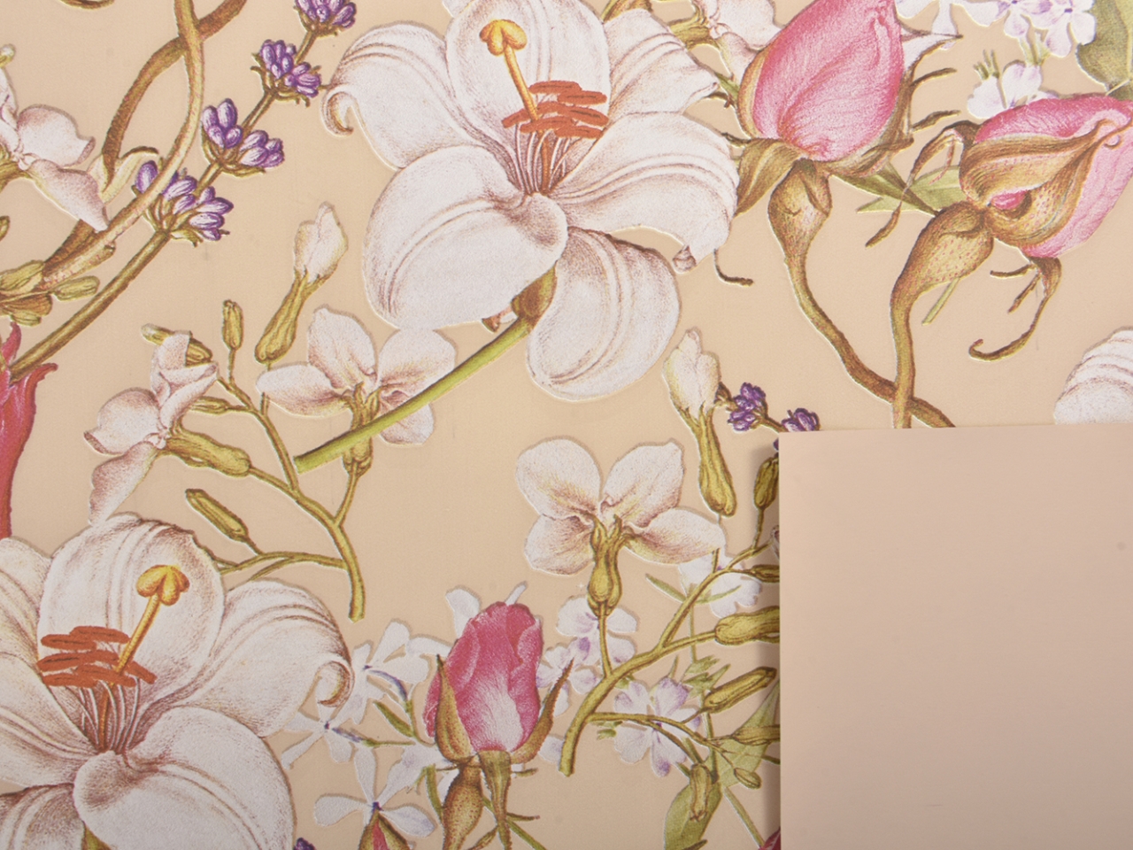 BOBINA EXOTICA 1X25MT TORTORA EXO4755 125