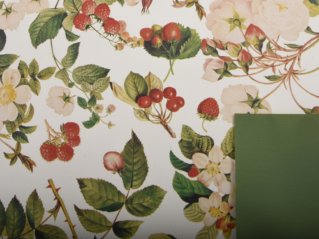 BOBINA TASTY GARDEN 1X25MT BIANCO/VERDE TAG002 125 BOBINA TASTY GARDEN 1X25MT BIANCO/VERDE TAG002 125