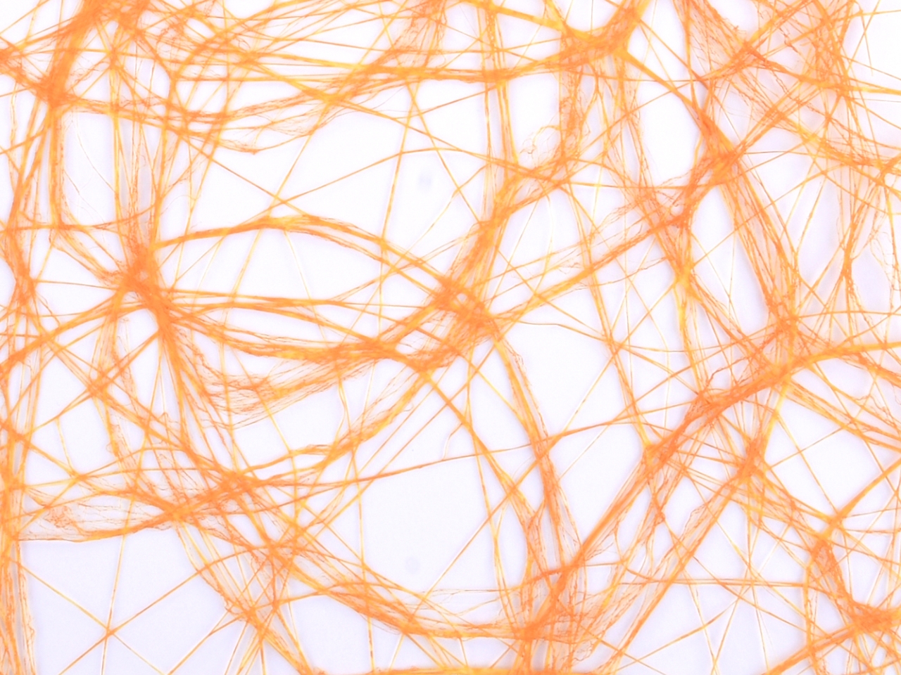 BOBINA COCONET 60CMX20MT ARANCIO DS23528 04