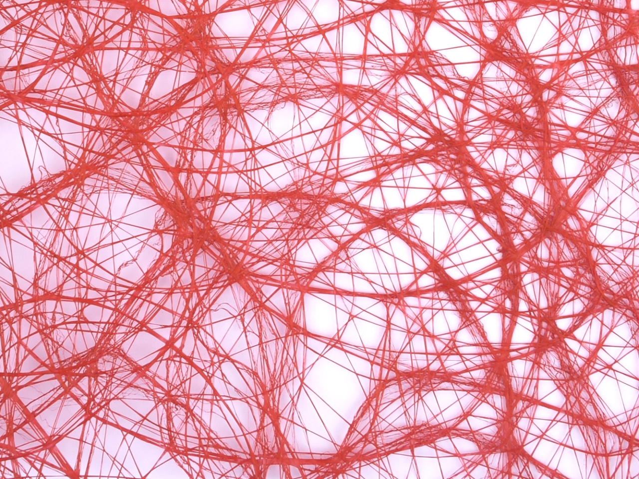 BOBINA COCONET 60CMX20MT ROSSO DS23528 05