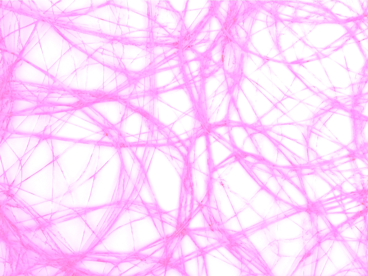 BOBINA COCONET 60CMX20MT CICLAMINO DS23528 22