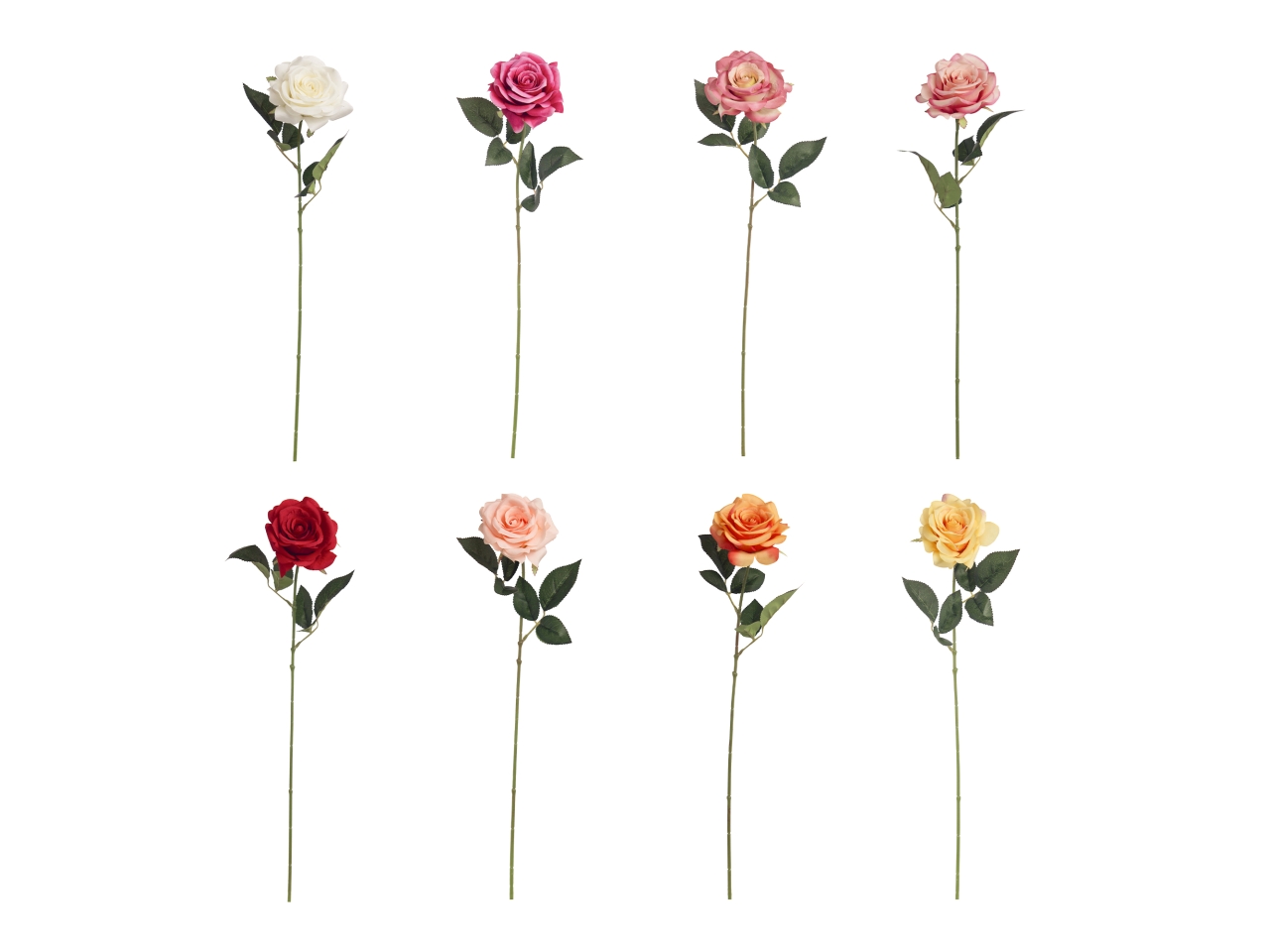 ROSA SINGOLA DIAMOND COL.ASS. A19509_01