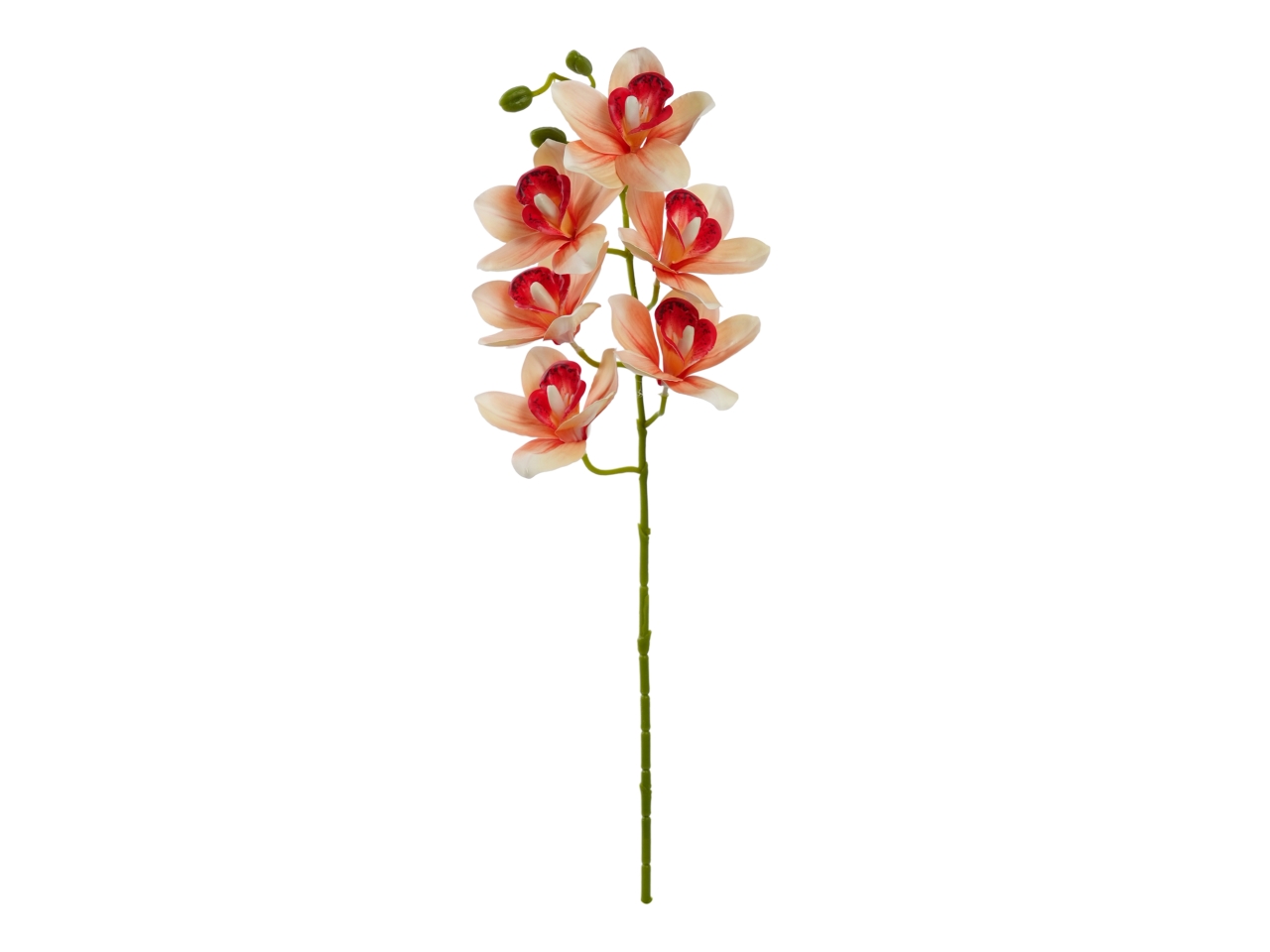 ORCHIDEA 6 FIORI 68CM ARANCIONE A19521_05