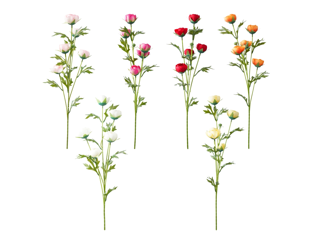 TRALCIO 5 RANUNCOLI COL.ASS. A19527_01