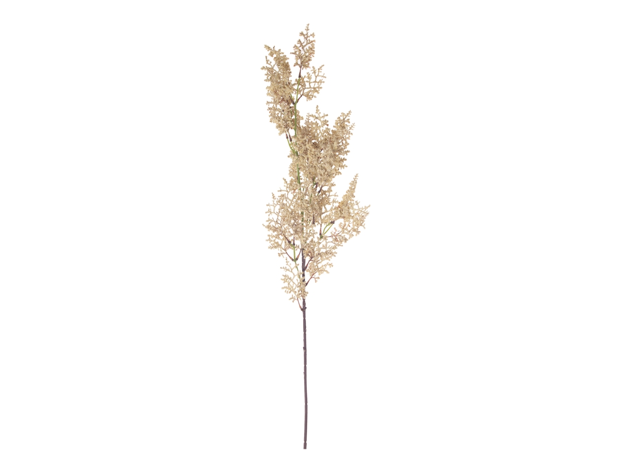 RAMO EUPHORBIA FLOCCATA 63CM CREMA A26492_08 RAMO EUPHORBIA FLOCCATA 63CM CREMA A26492_08