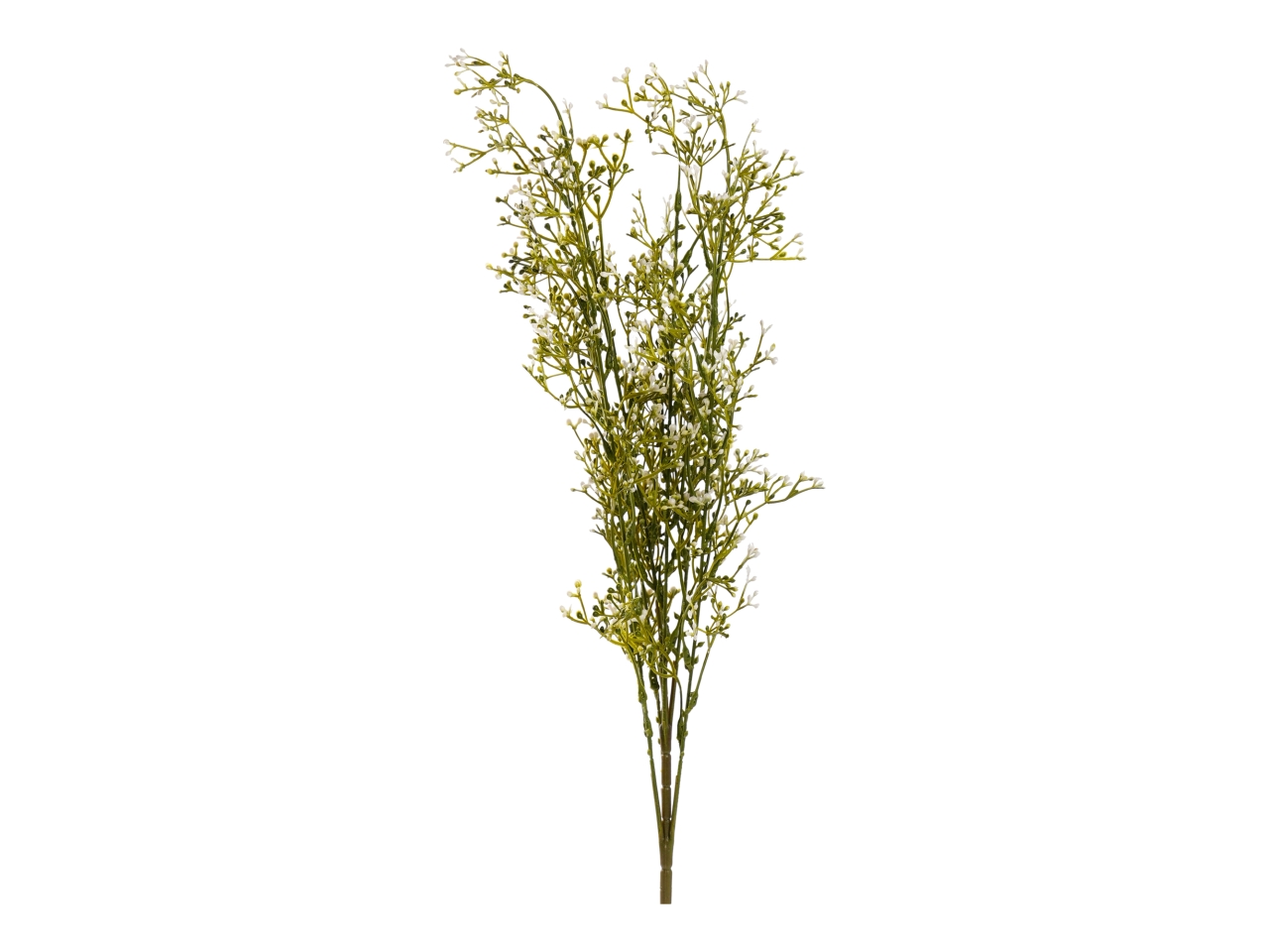 GYPSOPHILA 65CMA27086