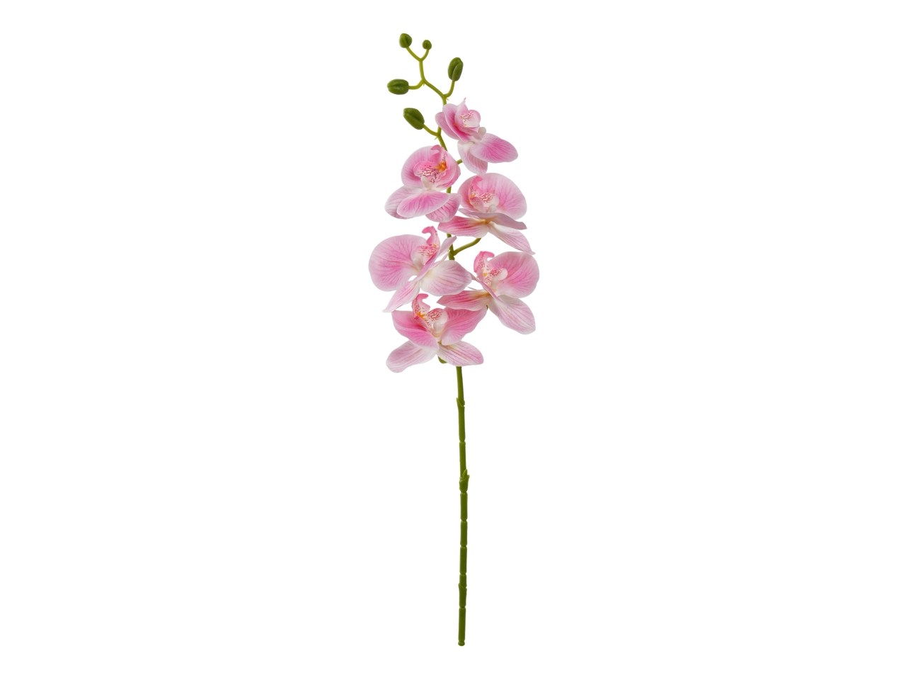 ORCHIDEA 72CM 6 FIORI ROSA A31737_04