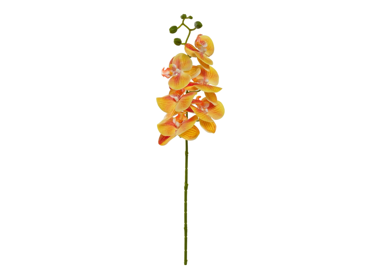 ORCHIDEA 72CM 6 FIORI GIALLO A31737_06