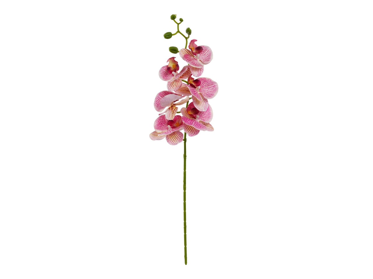 ORCHIDEA 72CM 6 FIORI BEAUTY A31737_15