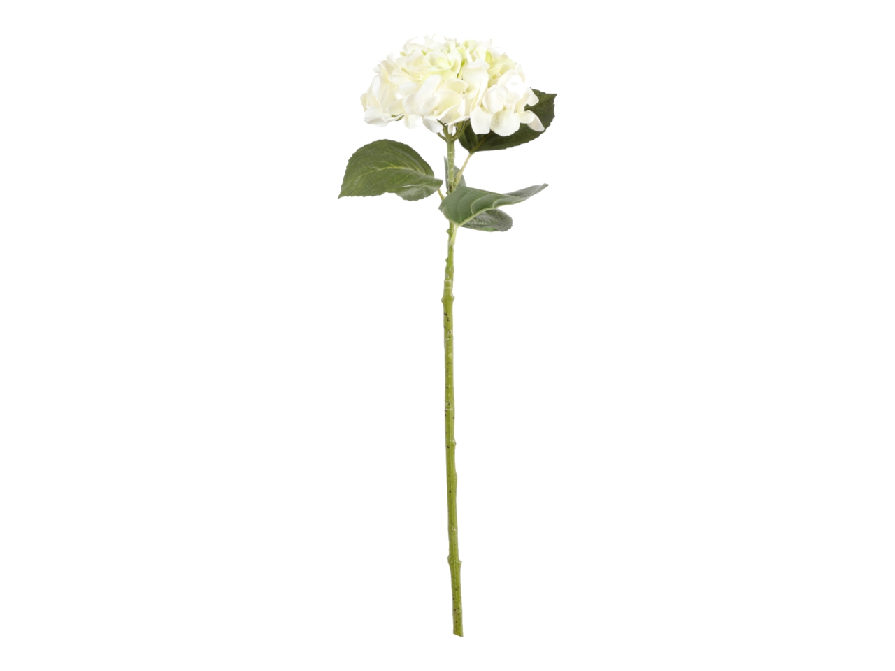 ORTENSIA 82CM BIANCO A32930_13 ORTENSIA 82CM BIANCO A32930_13